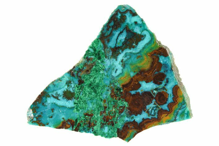 Polished Banded Chrysocolla and Malachite - Bagdad Mine, Arizona #298438